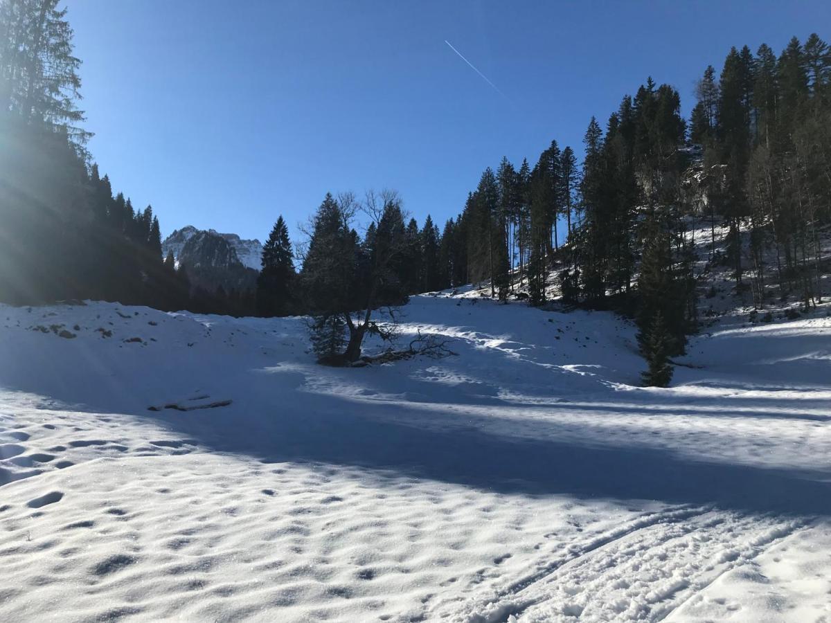 Kraehenberg Am Rande Der Wildnis Apartment Sibratsgfall Luaran gambar