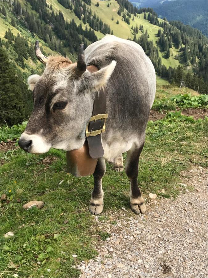 Kraehenberg Am Rande Der Wildnis Apartment Sibratsgfall Luaran gambar