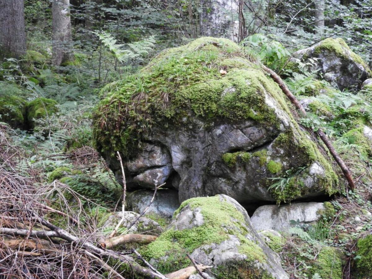 Kraehenberg Am Rande Der Wildnis Apartment Sibratsgfall Luaran gambar