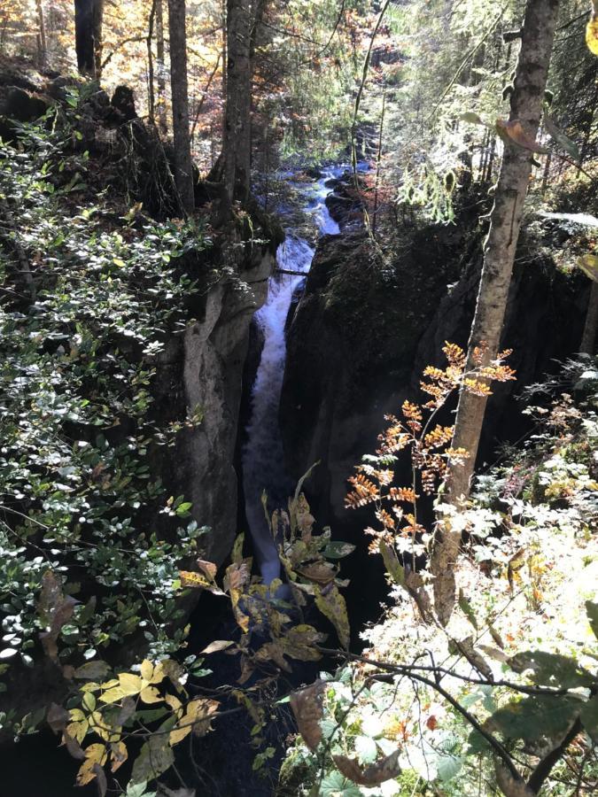 Kraehenberg Am Rande Der Wildnis Apartment Sibratsgfall Luaran gambar