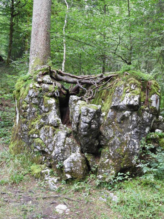 Kraehenberg Am Rande Der Wildnis Apartment Sibratsgfall Luaran gambar