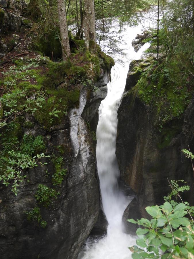 Kraehenberg Am Rande Der Wildnis Apartment Sibratsgfall Luaran gambar