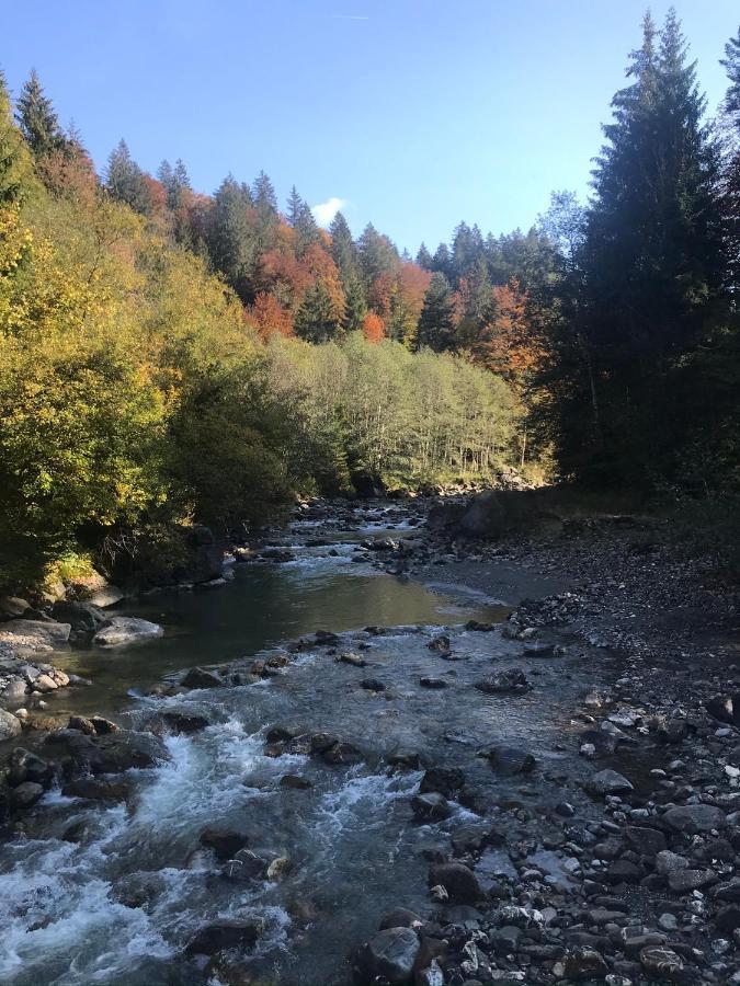 Kraehenberg Am Rande Der Wildnis Apartment Sibratsgfall Luaran gambar